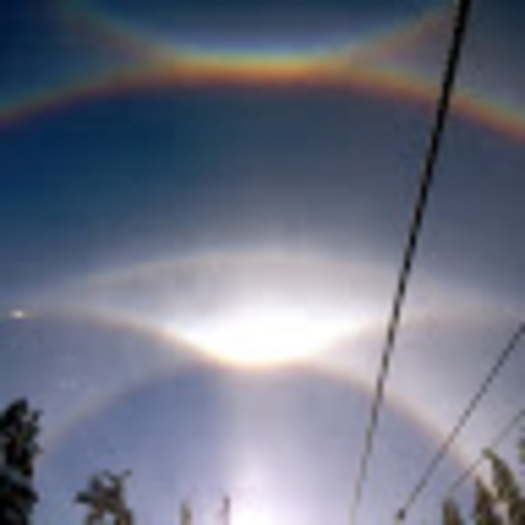 Meet your Posher, Holly - Picture 1 of 1